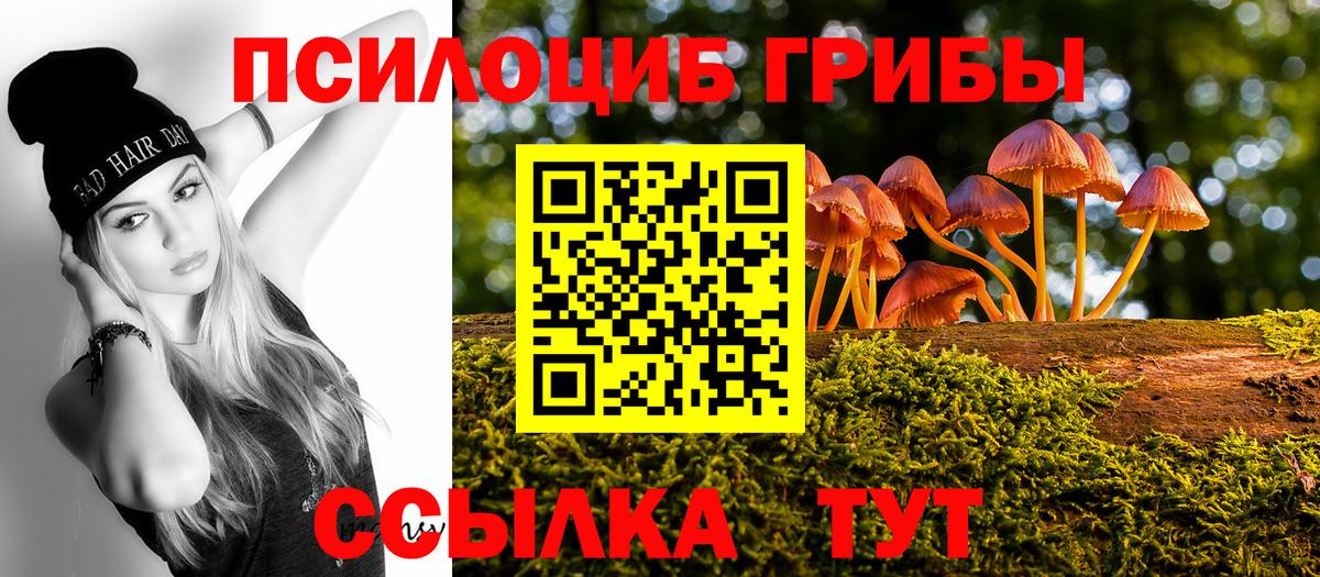 Псилоцибиновые грибы MAGIC MUSHROOMS  Вход с VPN  Железногорск 