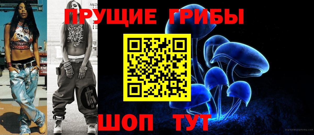 Псилоцибиновые грибы Psilocybine cubensis Железногорск